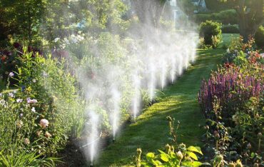 hệ thống tưới phun sương cho vườn rau